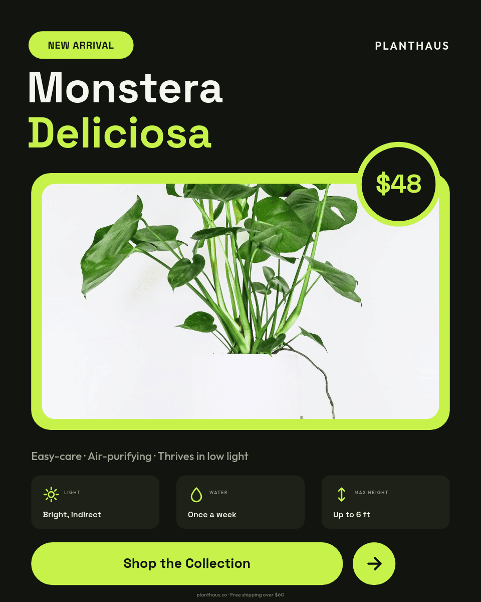 Bold Black & Lime Plant template in Orshot