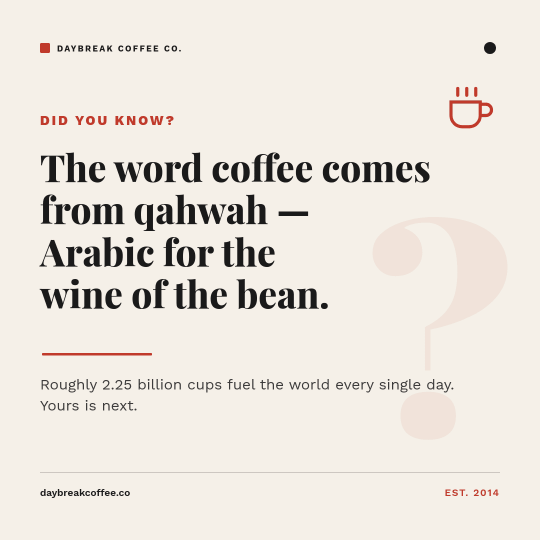 Editorial Cream Did-You-Know template in Orshot