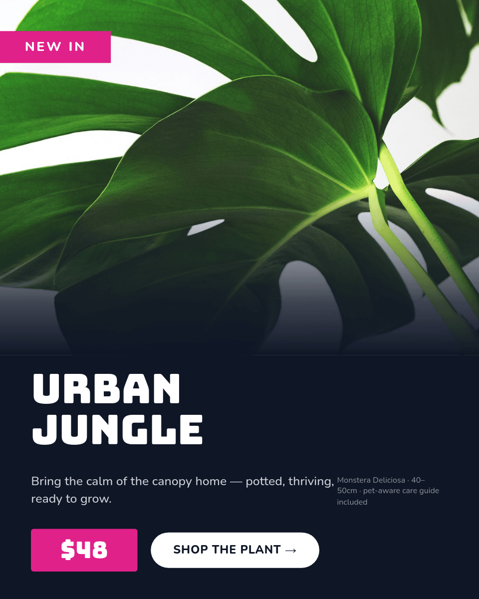 Midnight & Magenta Monstera template in Orshot