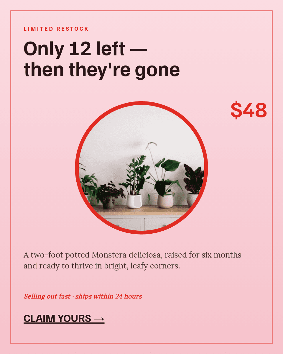 Potted Monstera Product Card template in Orshot