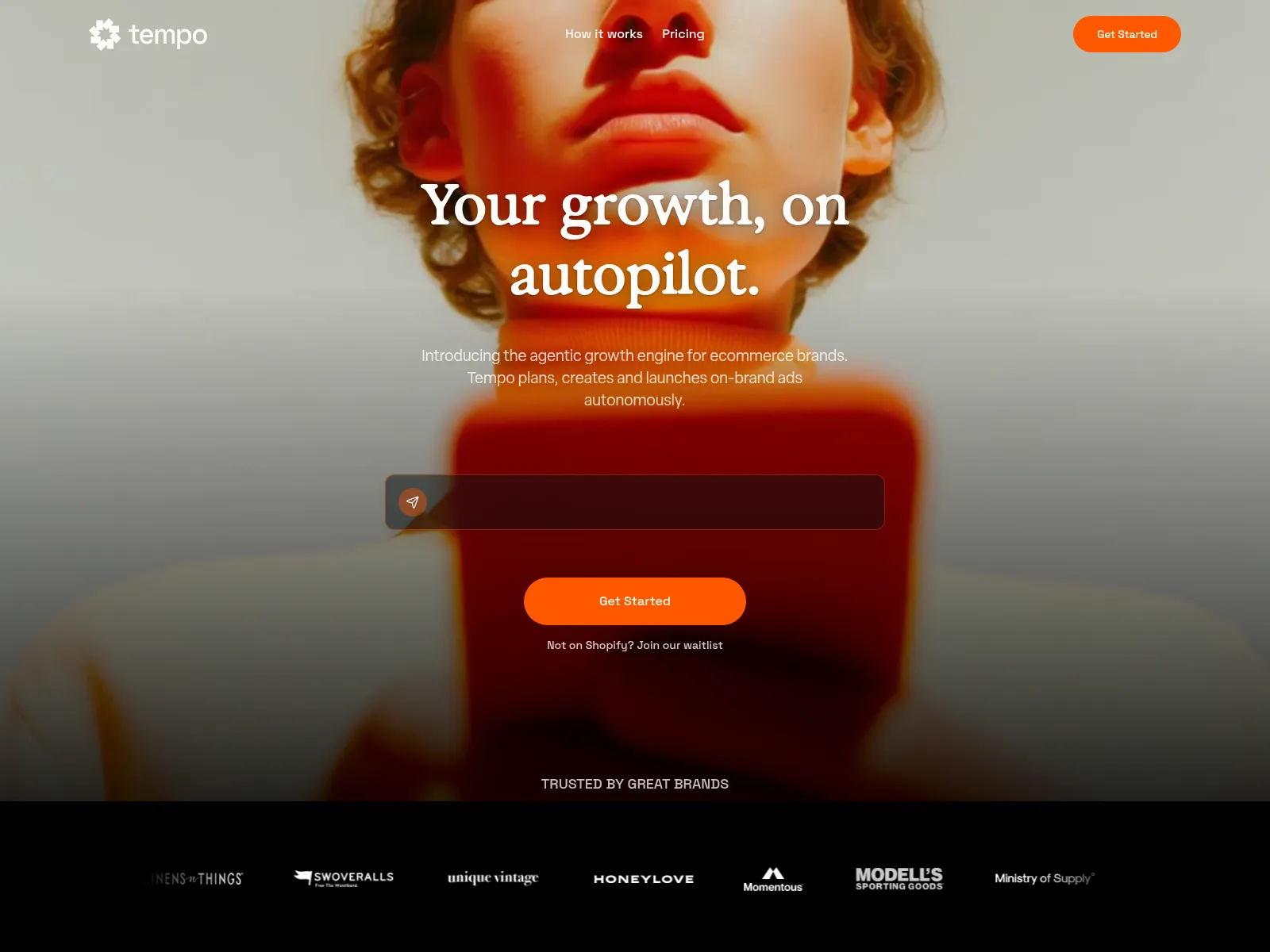Tempo homepage, an agentic growth engine for ecommerce brands