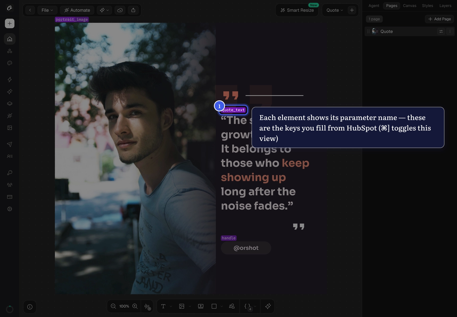 An Orshot template in Studio with parameter labels turned on